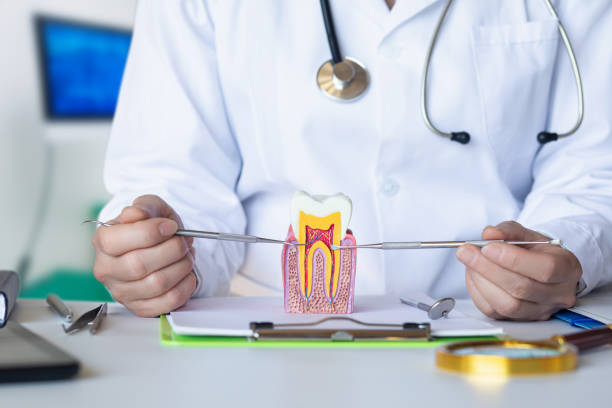 Best Pediatric Emergency Dentist in Los Altos, CA
